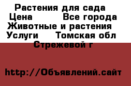 Растения для сада › Цена ­ 200 - Все города Животные и растения » Услуги   . Томская обл.,Стрежевой г.